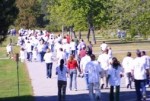 GIST Walk Almaden Lake Park